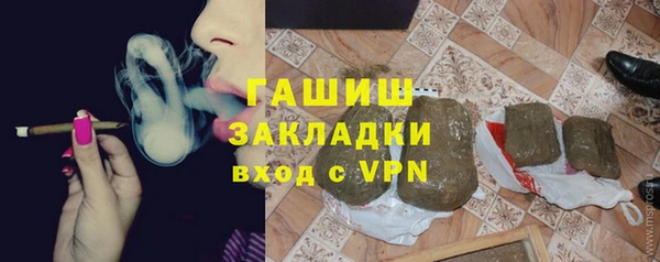 стаф Алексин