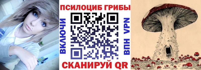 Псилоцибиновые грибы мицелий  где купить наркоту  Домодедово 